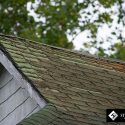 How to Prevent Roof Stains Caused By Moss and Algae