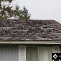 Why Are Your Asphalt Roof Shingles Curling?