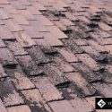 The Importance of Knowing Your Roof’s Age